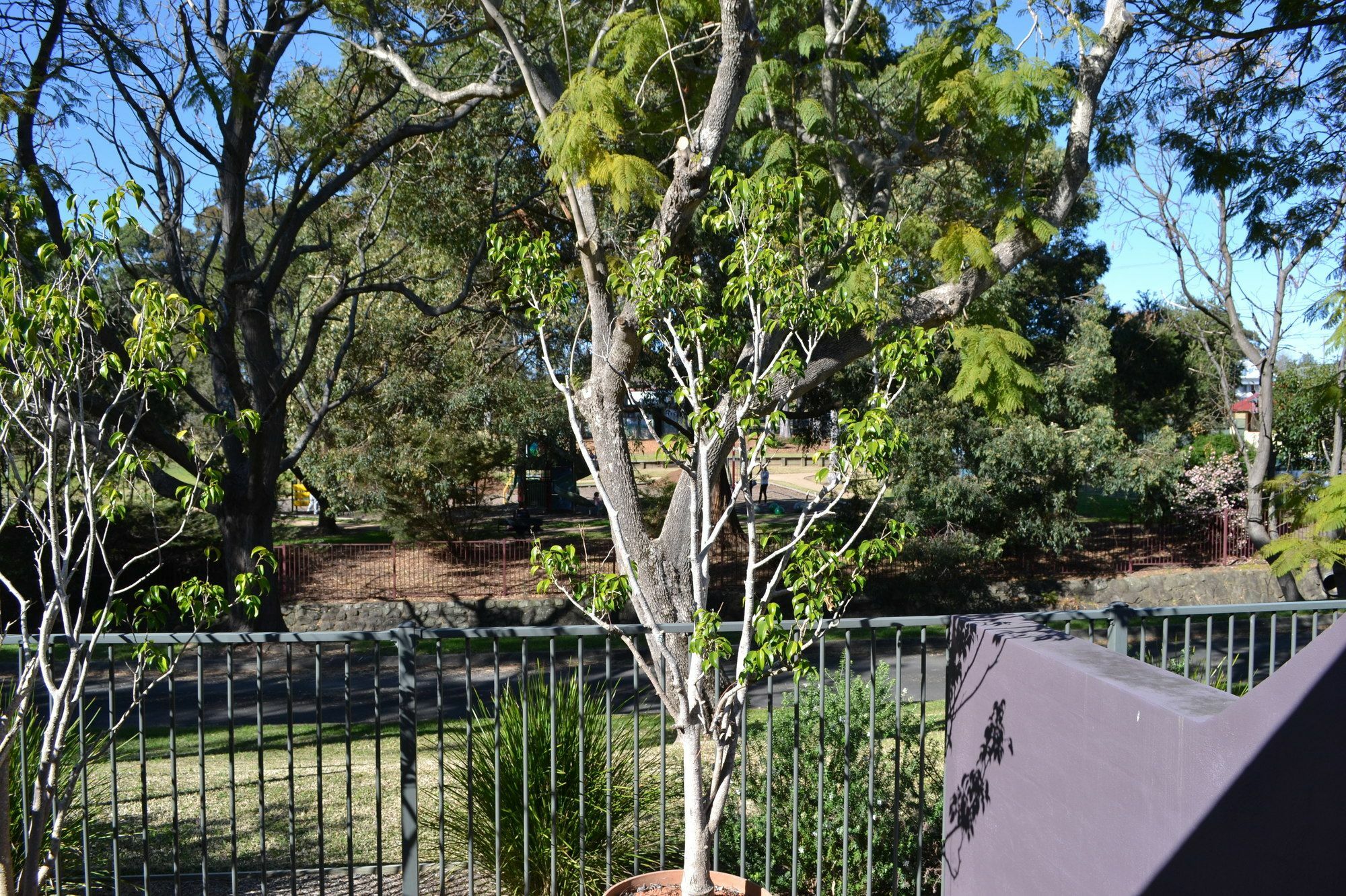 Parkhaven Nowra Exterior foto